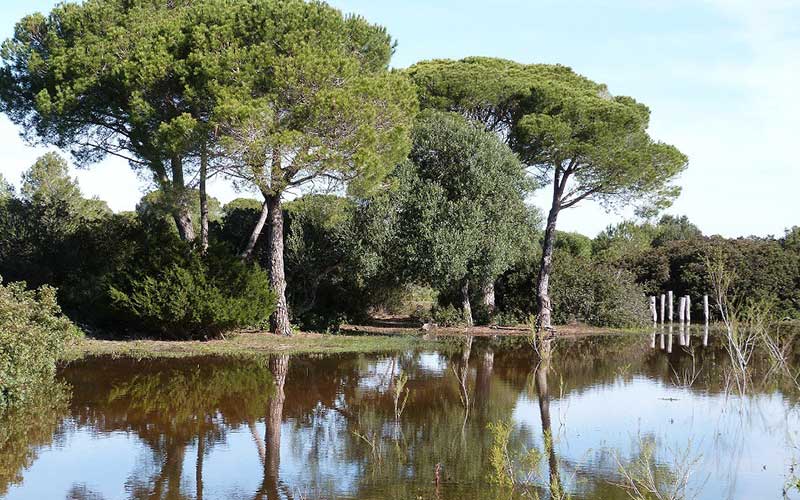 Los Toruños estrena Circuito Permanente de Orientación