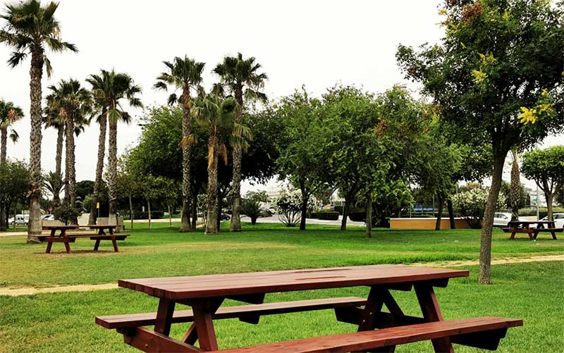 Chiclana se dota de una “avanzada” ordenanza de protección del arbolado: se sancionarán las “podas salvajes” en parcelas privadas
