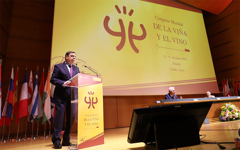Cádiz y Jerez acogen el Congreso Mundial de la Viña y el Vino: un sector anclado en la tradición mira a las nuevas tecnologías