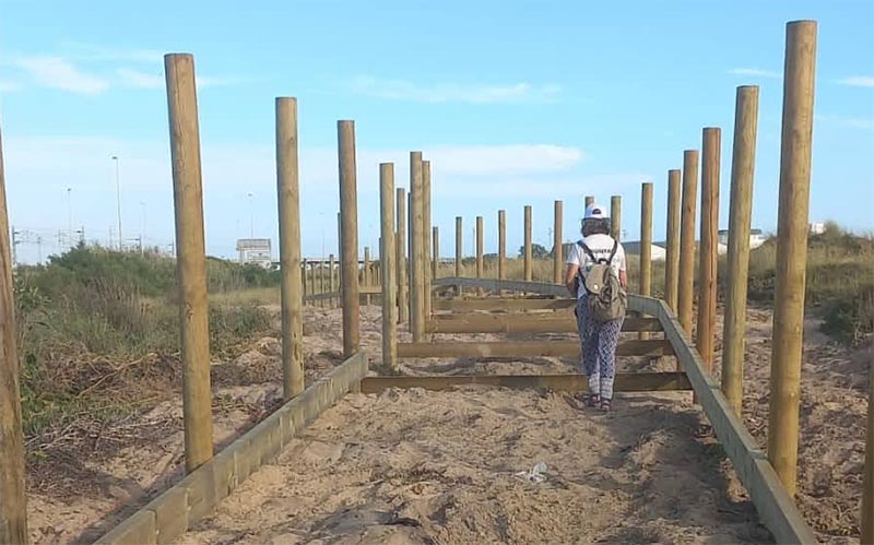 Ecologistas cree que la Junta está ejecutando “ilegalmente” las obras del sendero entre Cádiz y La Isla atravesando las dunas de Cortadura