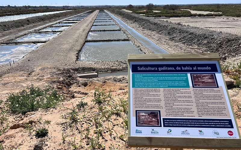 Un proyecto piloto recupera las salinas de Balbanera usando “soluciones” basadas en la naturaleza y prácticas económicas sostenibles