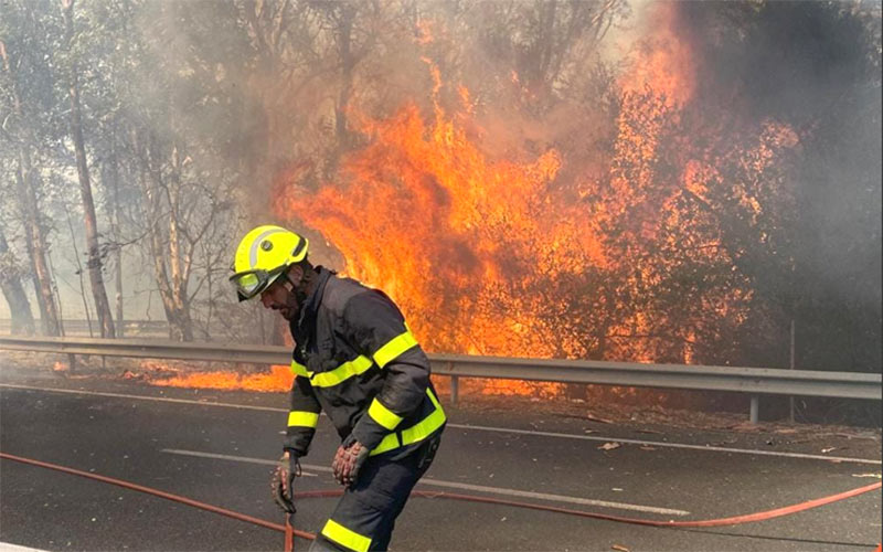 El fuego arrasa parte de Las Canteras de Puerto Real; la Policía investiga “los incendios”, estabilizados poco antes de la medianoche