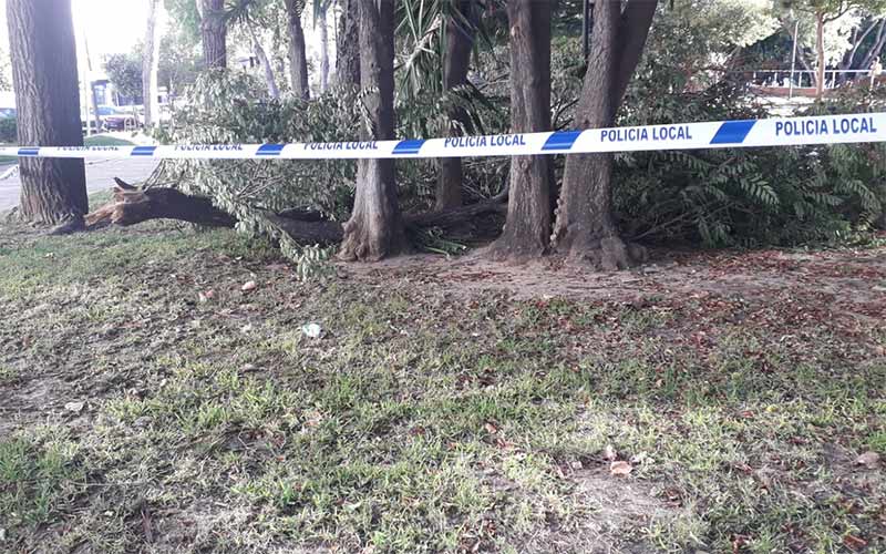 AxSí ve “abandonado” el Parque Almirante Laulhé tras la feria y exige al Gobierno isleño que fiscalice a la contrata de zonas verdes saliente