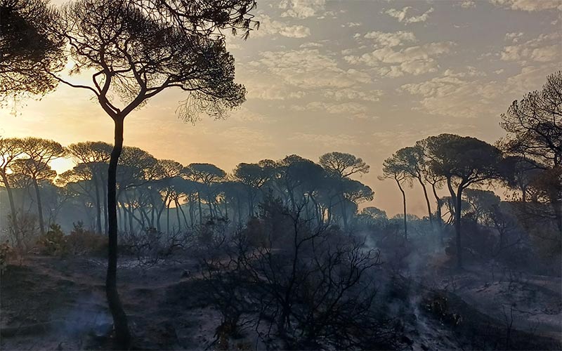 El incendio de Puerto Real pasa a estar “controlado”; se ruega a la población que “no intente acceder por su seguridad” a Las Canteras
