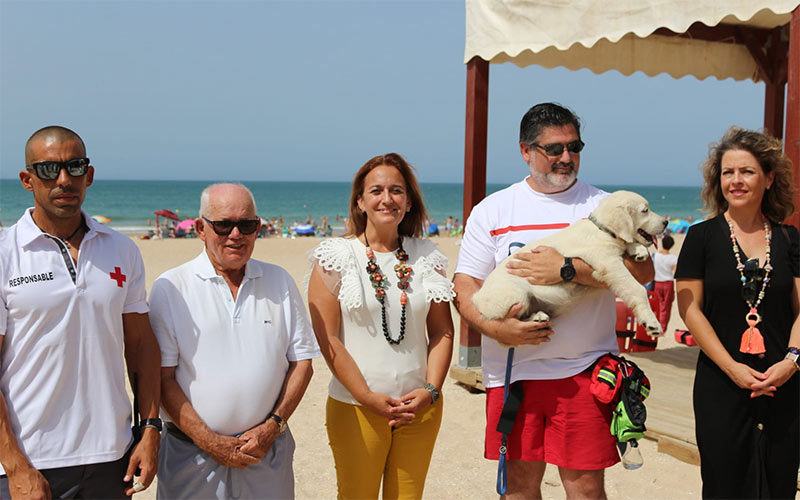 Un perro ‘socorrista’ en La Barrosa