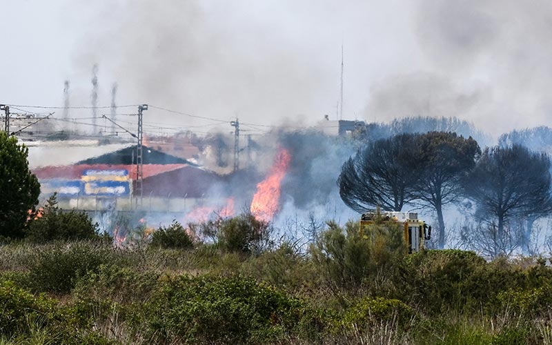 Adelante insta a crear un “frente común de Bahía” para coordinar medidas ante el avance del cambio climático, tras los últimos incendios