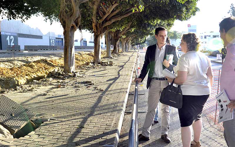 Se intensificará el estudio de la salud del arbolado en colegios y parques públicos de Jerez