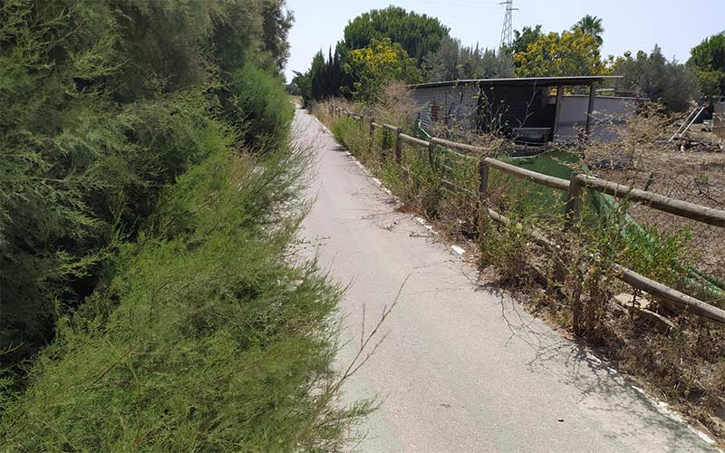 El Consistorio roteño demanda otra vez a la Junta el adecentamiento del carril bici a Costa Ballena