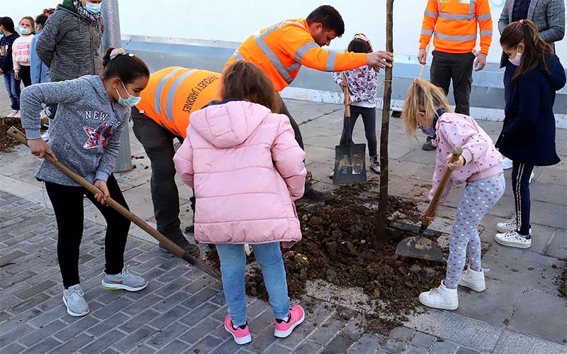 El Consistorio baraja invitar a empresas a “patrocinar” la plantación de arbolado en Jerez
