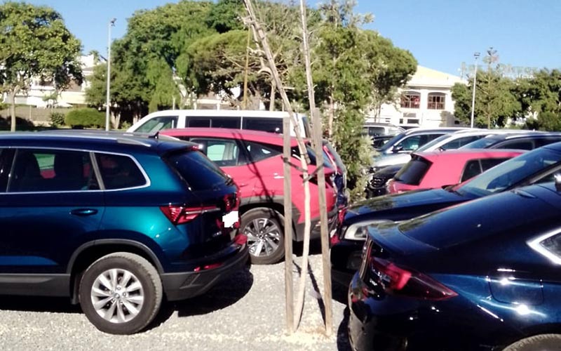 Denuncian el “abandono” del arbolado del parking del parque acuático en Costa Ballena