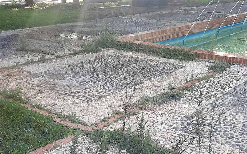 Activada la ‘cuenta atrás’ para poner fin al “deficiente” estado de las zonas verdes de San Fernando; Valoriza ‘entra’ a final de septiembre