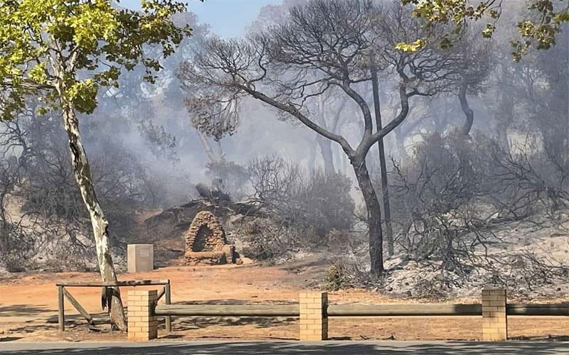 El Gobierno declara diferentes ‘zonas catastróficas’ por toda España tras sufrir incendios, entre ellas el parque de Las Canteras