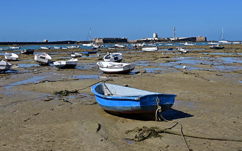 Costas actúa de emergencia frente al deterioro de la muralla del Castillo de San Sebastián