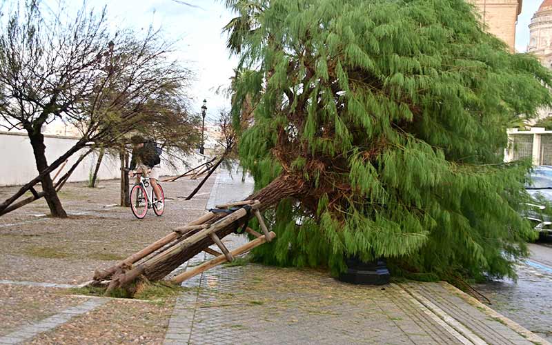 Cádiz trata de volver a la normalidad tras el paso de Bernard pero mantiene los parques cerrados; se registraron 120 incidencias por toda la ciudad