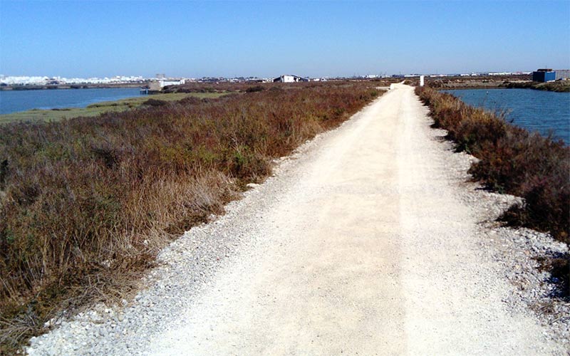 Los temporales dañan y cierran hasta nuevo aviso el sendero ciclopeatonal entre San Fernando y Chiclana a través del Parque Natural