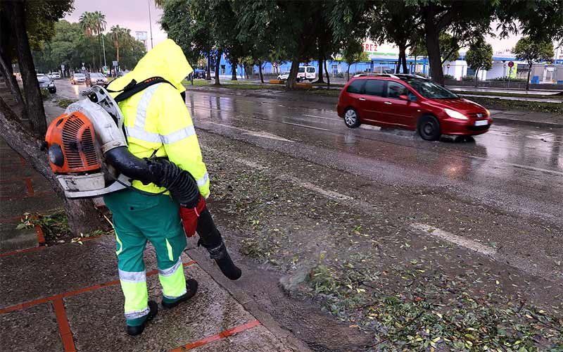 Jerez espera ser declarado zona catastrófica para “reponerse” antes de Bernard; ya se han retirado toneladas de ramas, troncos y restos