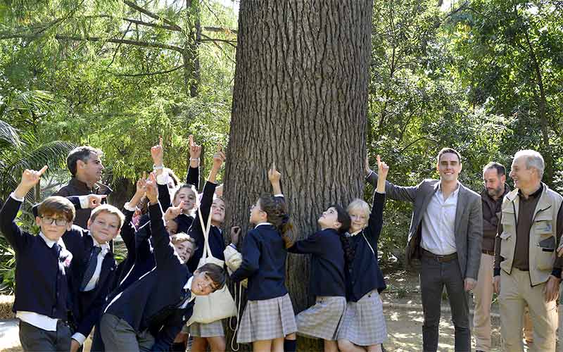 El centenario cedro del Himalaya del Zoo de Jerez, entre los nominados a ‘Árbol del año’