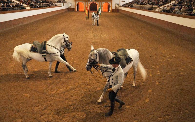 Jerez quiere ser sede del Congreso Internacional de Calidad y Sostenibilidad Turísticas en 2024