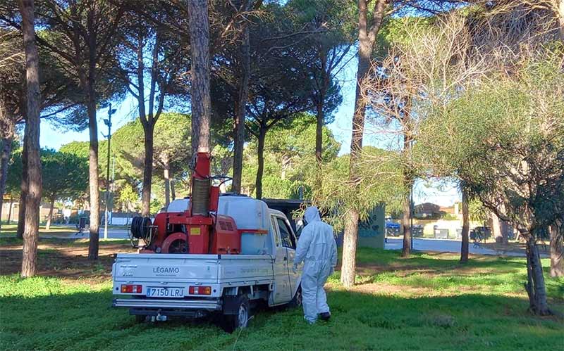 En marcha en Chiclana la campaña para el control de la procesionaria del pino