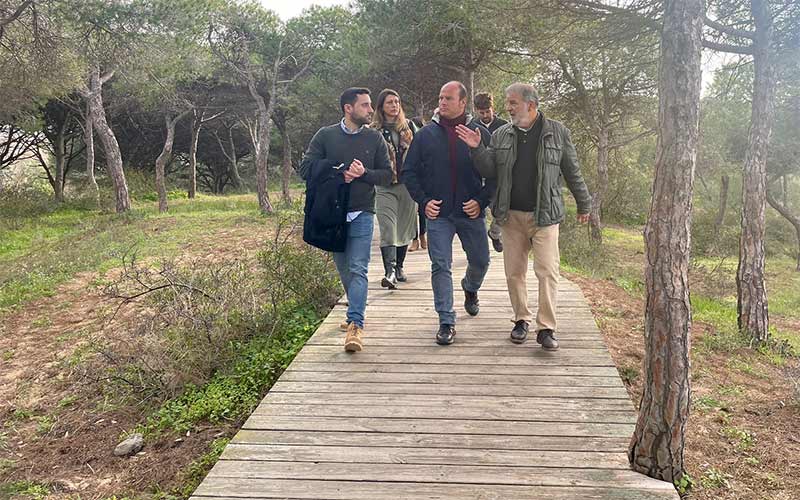 Nueva fase de trabajos de emergencia para mejorar y asegurar las zonas de pinares de Rota afectadas por los temporales