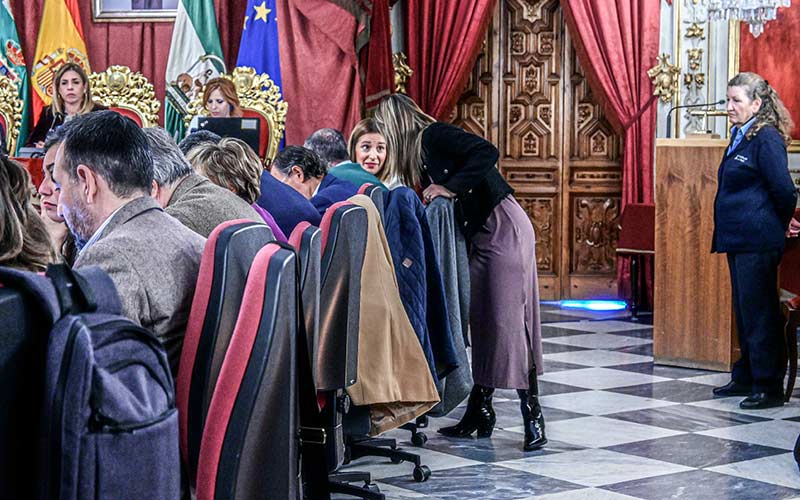 Apoyo al campo en sus demandas y exigencia de más medios en la lucha contra el narcotráfico, en el pleno de febrero de la Diputación gaditana