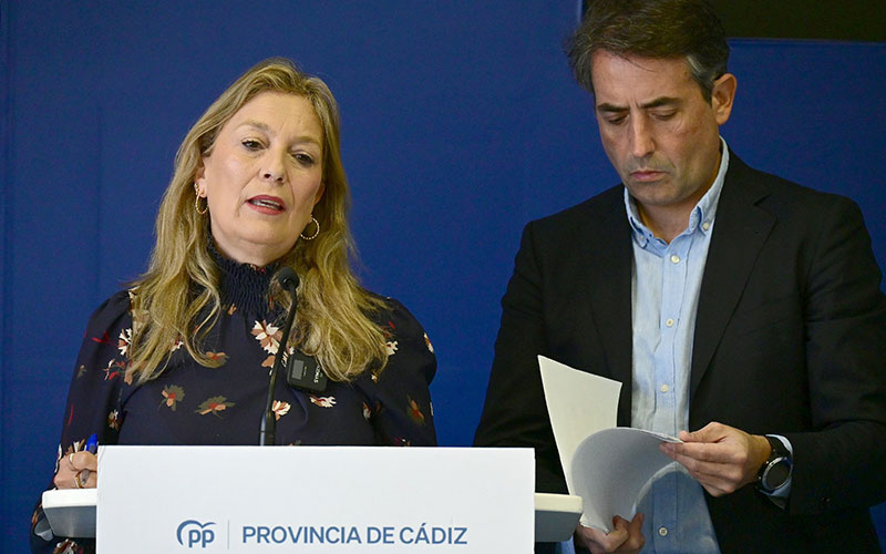 El PP gaditano valora los primeros cien días del nuevo “desgobierno” de Pedro Sánchez: “chantaje, división y sombras de corrupción”