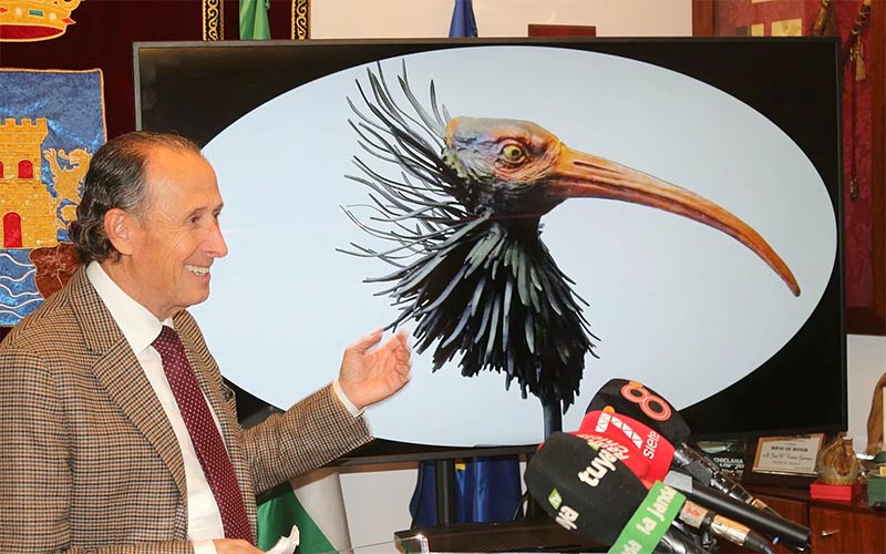 Un ejemplar de ibis eremita de cinco metros de altura ‘dará’ la bienvenida al Novo Sancti Petri