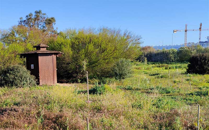Rota estrena un ‘hide’ para la observación de aves en Punta Candor