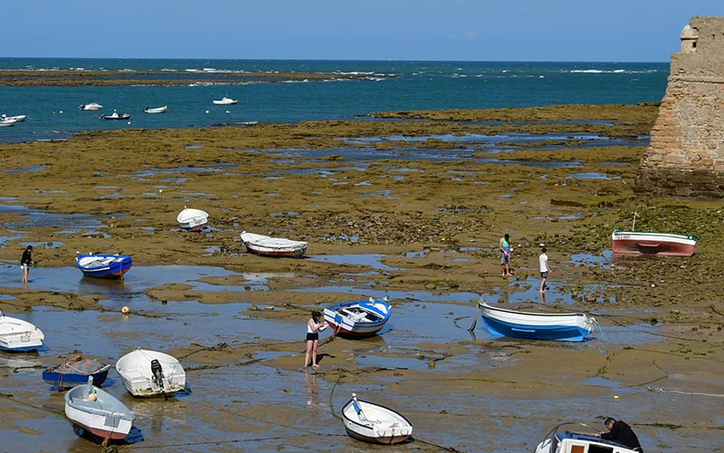 La Junta se ‘sumerge’ en la prospección arqueológica de las zonas intermareales de playas gaditanas, desde La Caleta a Tarifa