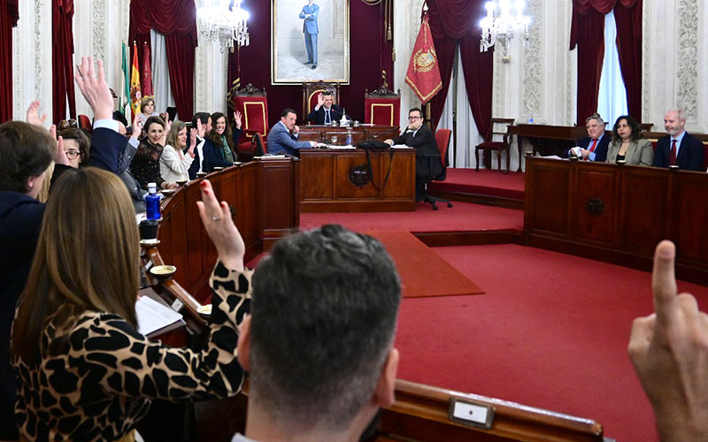 “Bruno García dice ser el alcalde más social, pero la realidad es que rechaza pedir la regulación del alquiler en Cádiz para no molestar a la Junta”