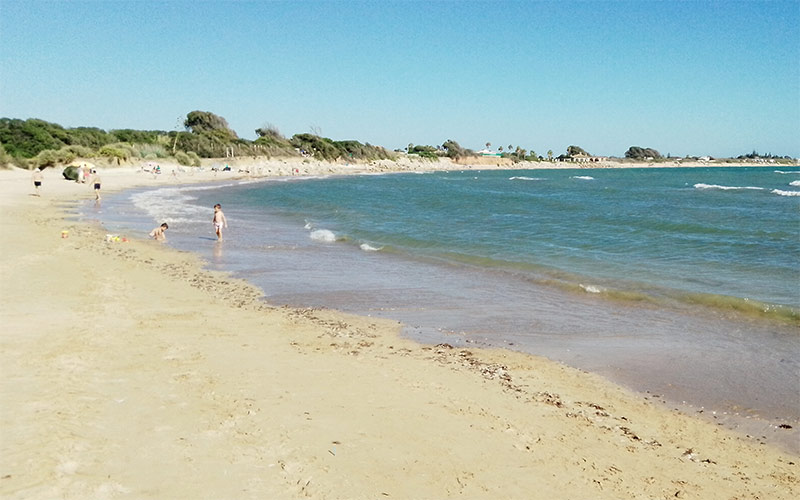 Instan a “reconsiderar” la “decepcionante” playa para perros de Rota
