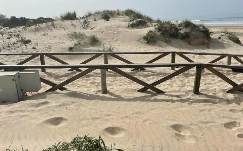 Toniza propone que se permitan perros en las playas de Chiclana en verano entre la noche y la mañana y exige mayor protección para las dunas