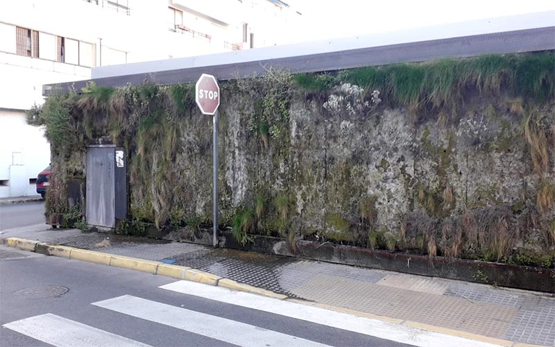 AxSí lamenta el “abandono” de los jardines verticales del entorno del castillo de San Romualdo, “y de la Agenda 2030” en La Isla