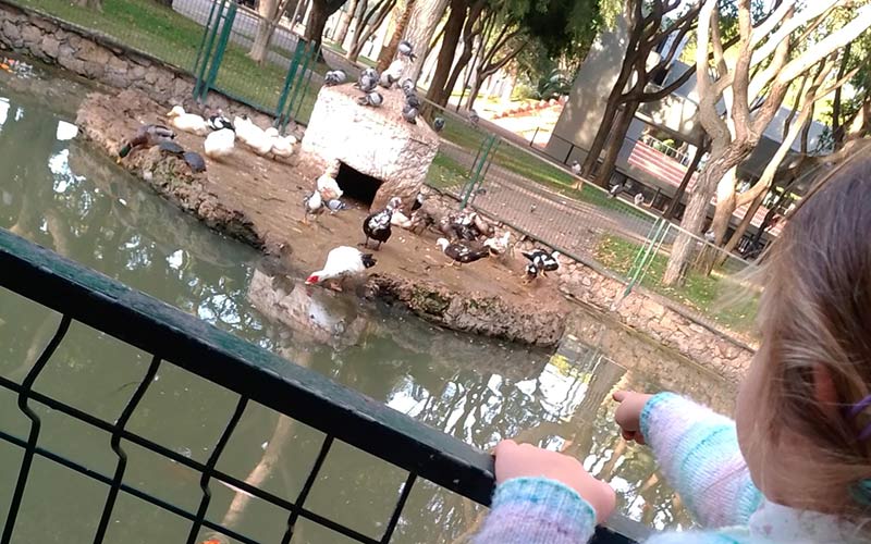 El parque ‘de los patos’ se queda sin patos y sin estanque: “lo único que busca Cavada es incrementar el número de casetas de la feria”