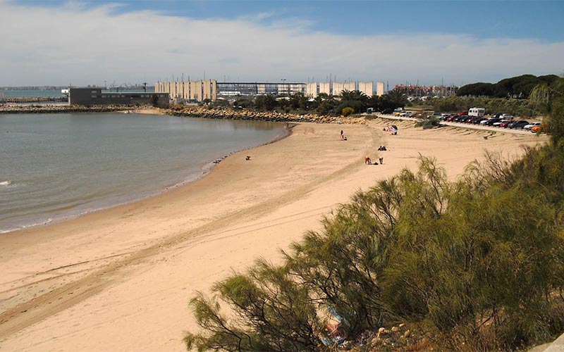 El Puerto tendrá playa canina desde este verano