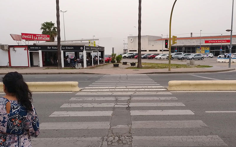 Portuenses y visitantes “sufren” la presencia de gorrillas sin control en Pozos Dulces y la estación
