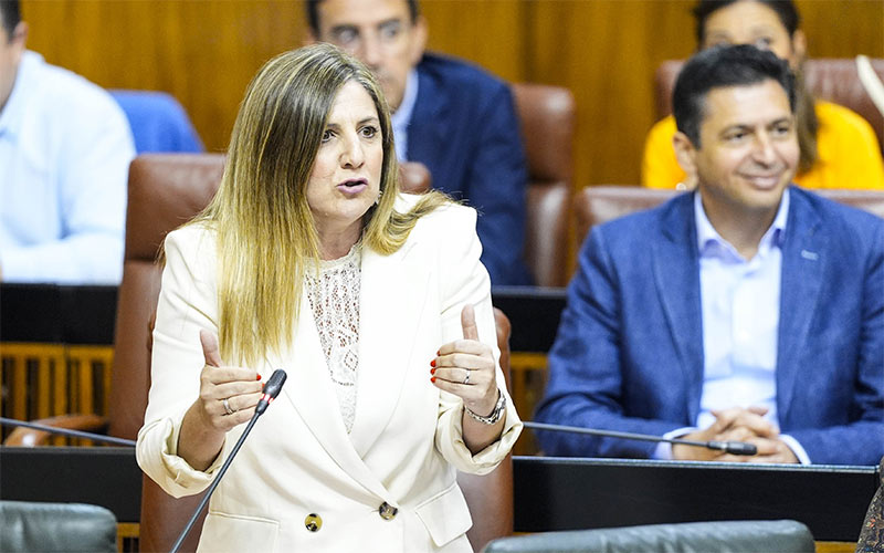 ¿Quieren construir realmente el nuevo hospital?