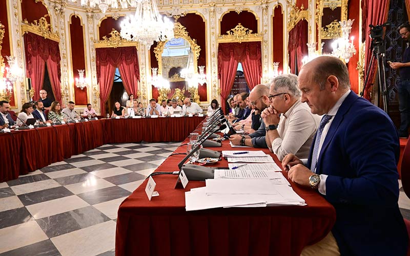 La Diputación de Cádiz exige el cumplimiento de la Ley de Memoria a todas las administraciones