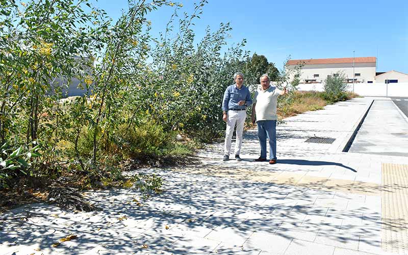 AxSí propone que el Ayuntamiento le compre a la Zona Franca la parcela hotelera de Tiro Janer y que Cavada llame a sus “supuestos inversores”