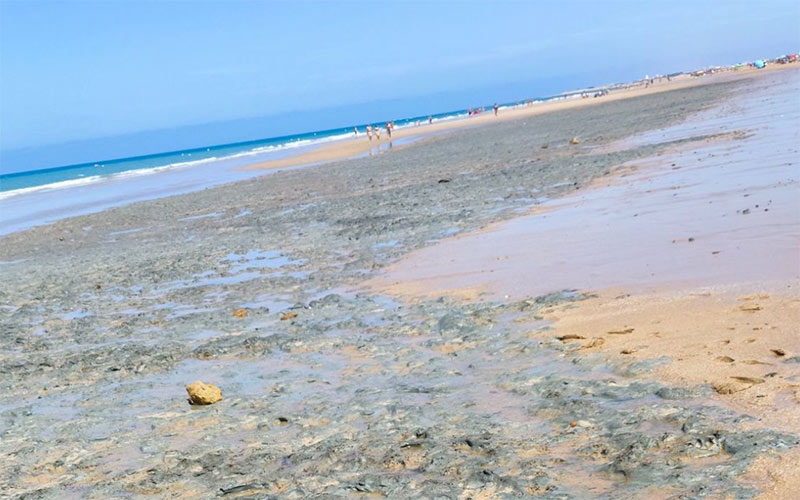 La Junta responde a la alcaldesa isleña: “sólo pedimos que se cumpla con la normativa vigente en el Parque Natural, donde entra Camposoto”