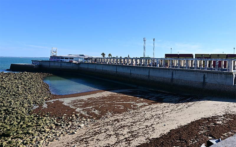 Ponen en duda la “creación” de nuevas playas en Cádiz en la Punta de San Felipe y el Baluarte de San Roque: “son actuaciones de otra década”