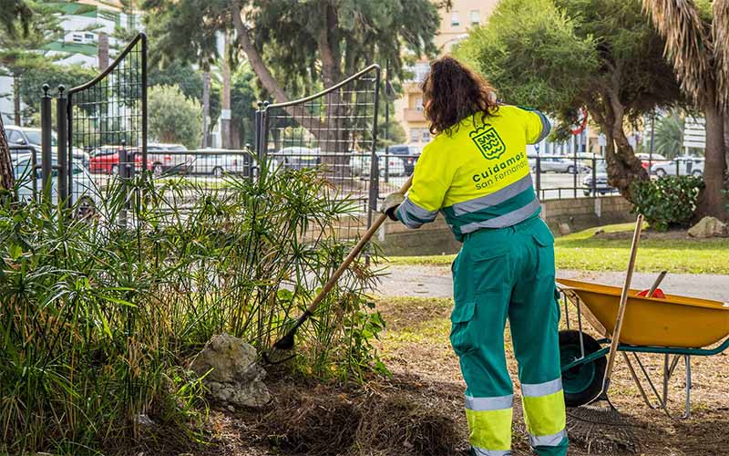 El Consistorio isleño invierte unos 100.000 euros al año en prevención y control de plagas