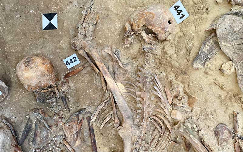 Amede recibe 5.000 euros de ayuda municipal para el estudio y custodia del material exhumado en las fosas comunes del cementerio isleño