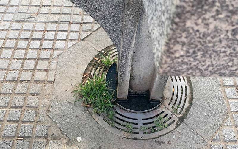 “El PP ha priorizado en Cádiz el ‘tarifazo del agua’ al mantenimiento de las fuentes para beber”