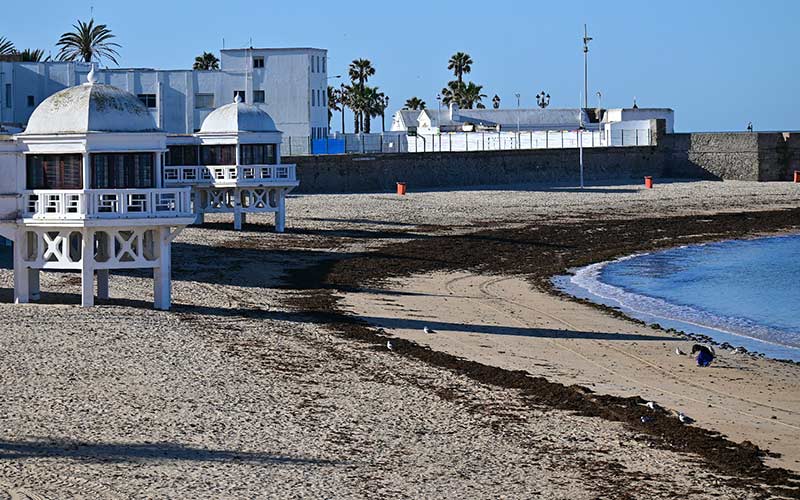 El personal de Playas trabaja intensamente este verano para que La Caleta se disfrute sin algas