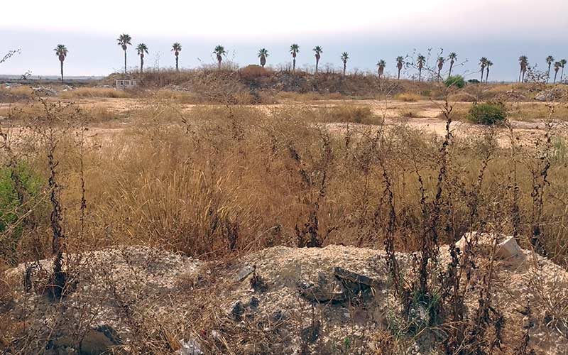 El Gobierno isleño promete que el parque de La Magdalena se ejecutará antes de las elecciones de 2027; la oposición ve “gestión negligente”