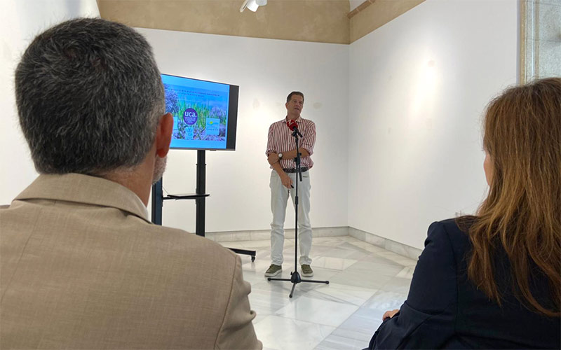 Un proyecto innovador busca recuperar la pradera marina en los corrales de Rota