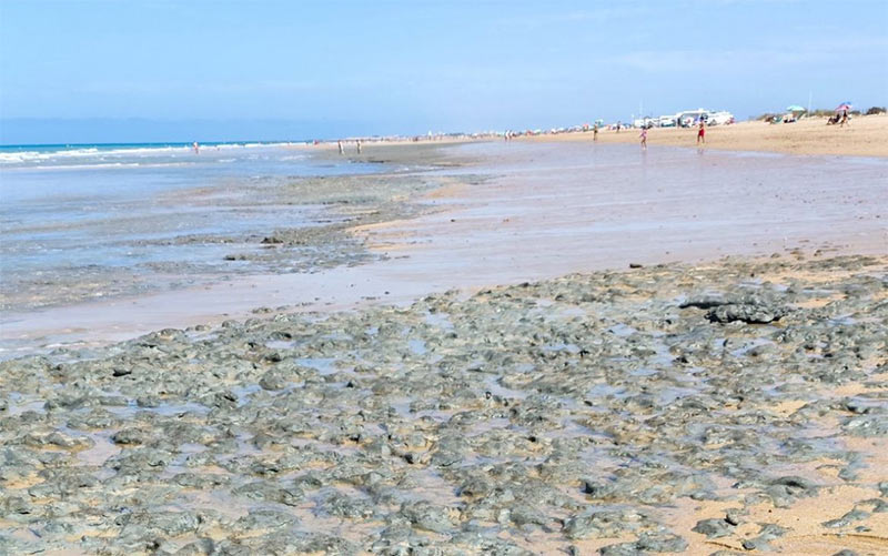 Romero (AxSí) confía en que Ayuntamiento y Junta se entiendan con respecto a la limpieza de la playa de Camposoto antes del verano de 2025
