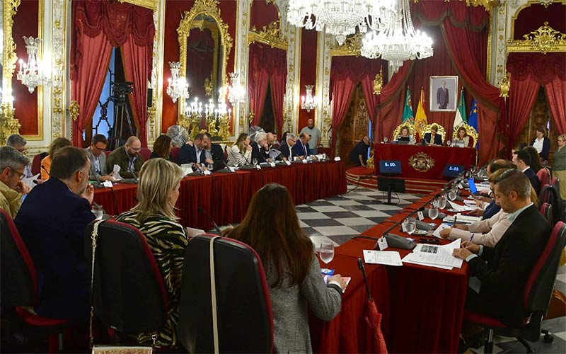 La “realidad” de las ayudas a la dependencia y el “apoyo” a los cuerpos policiales y a activistas saharauis, a debate en el pleno de la Diputación