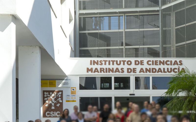 Investigado un empleado del ICMAN en Puerto Real por malversación de caudales públicos
